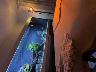 Aquarium.jpg